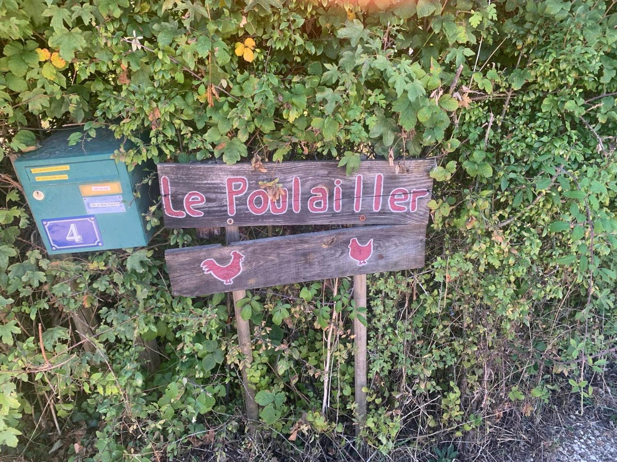 Logement Independant Le Poulailler Proche Guedelon Treigny Exteriér fotografie